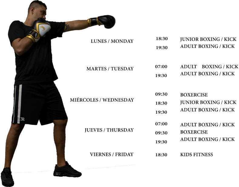 QFG Boxing Timetable - PDF