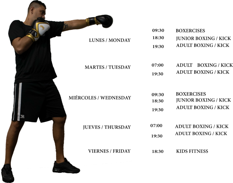 QFG-Boxing-Timetable-PDF-2 (1)
